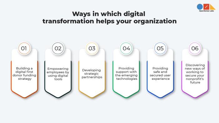 Drupal: Extricating the Nonprofits from digital stagnation | Opensense Labs