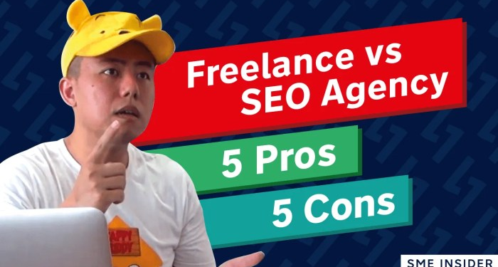 Differences between Freelancer vs SEO Agency 2019 | Smmile