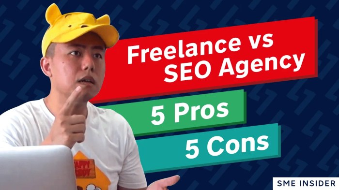 Differences between Freelancer vs SEO Agency 2019 | Smmile Differences between Freelancer vs SEO Agency 2019 | Smmile